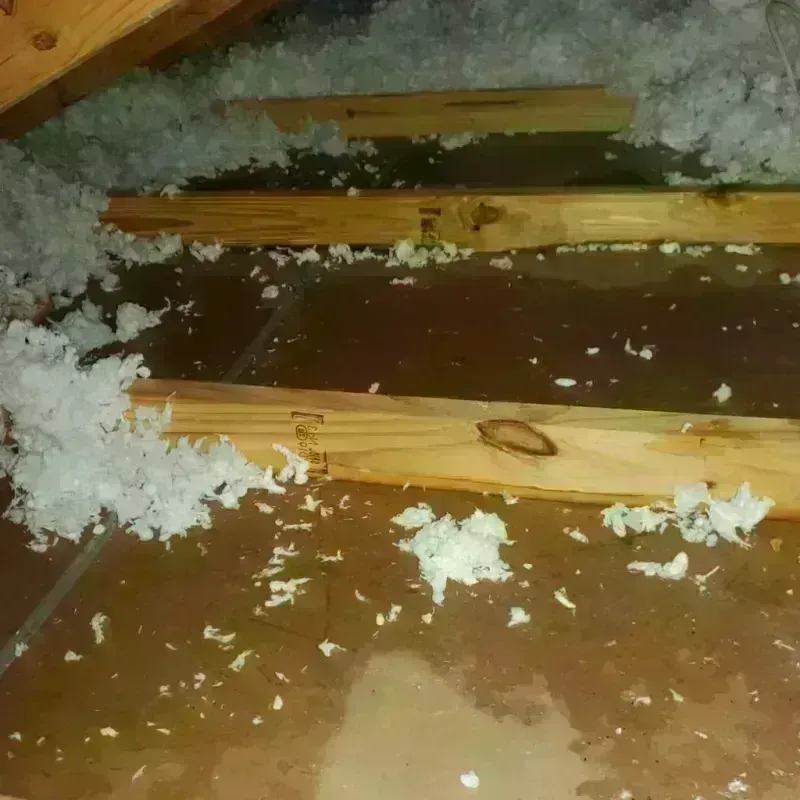 Attic Water Damage in Lyons, OR