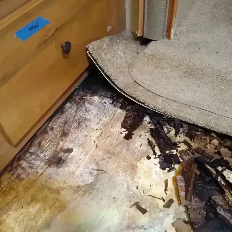 Wood Floor Water Damage in Lyons, OR